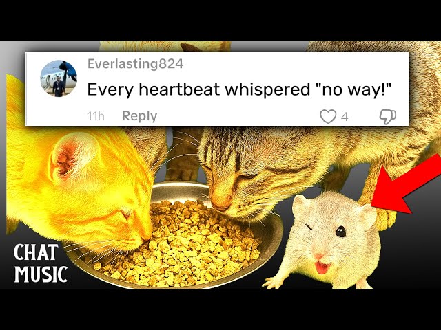 Death Can Wait, I'll Eat 😎 - Chat Music 