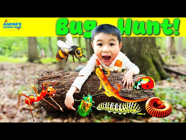 KIDS! 🐛Epic BUG Hunt: 🐞 Discover Salamanders, Worms, Beetles! | EDUCATIONAL KIDS NATURE SHOW🌿