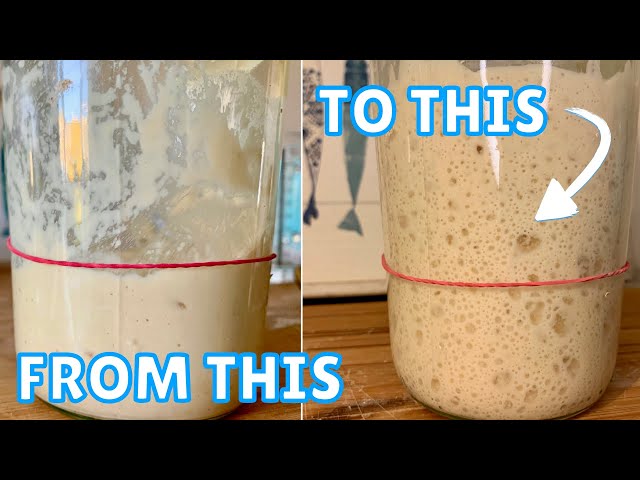 How to make a Poolish and add Superb Taste to your Dough