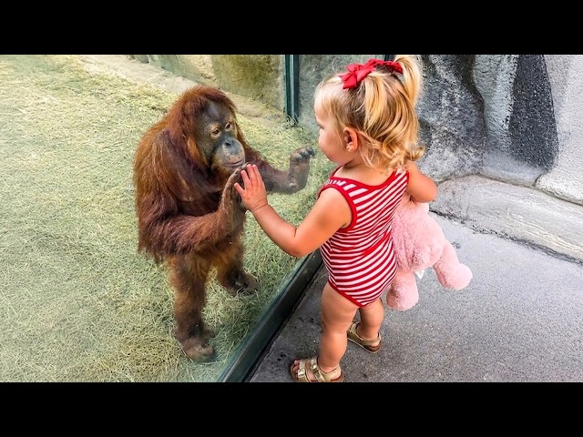 When Your Baby and Cute Zoo Animals Instantly Become Best Friends ❤️