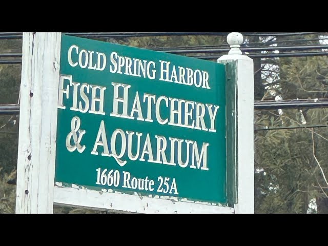 Cold spring harbor hatchery and aquarium Long Island New York