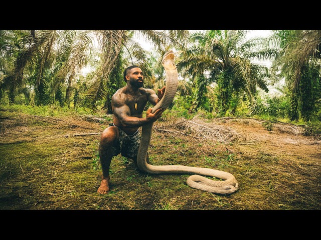 Catching The Worlds Largest King Cobra In Indonesia