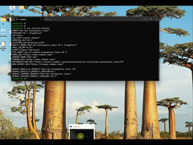 Install SQL Server 2025 on Linux (RHEL 10 and Ubuntu 24) (online install)