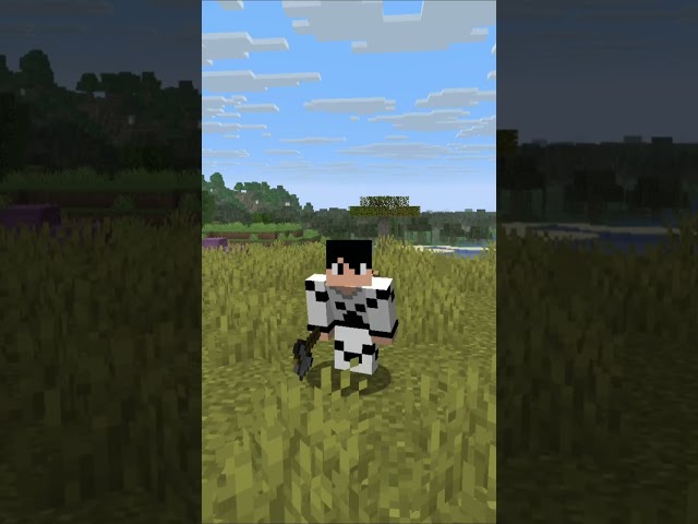 Differences Between Minecraft Java and Bedrock