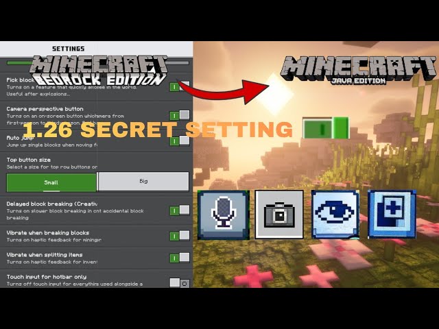 Minecraft Bedrock secret setting MCPE【Java Style】