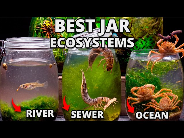I Put Rivers, Sewer and Ocean in Jars, Months Later THIS Appeared (Top 2026)