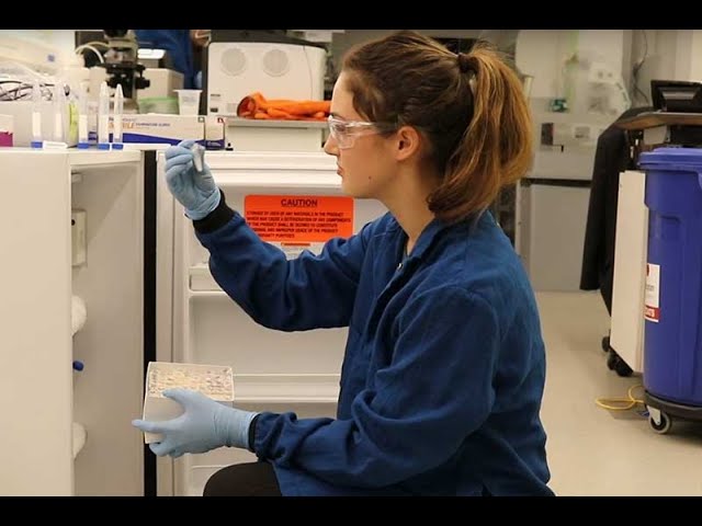 Highlights from Northeastern University's Bioengineering Department