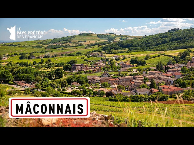 Mâconnais, sur de Borgoña: tierra de vinos y hedonismo - 1000 países en uno - Documental de viaje