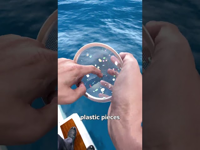 Where Ocean Plastic Actually Ends Up 😨