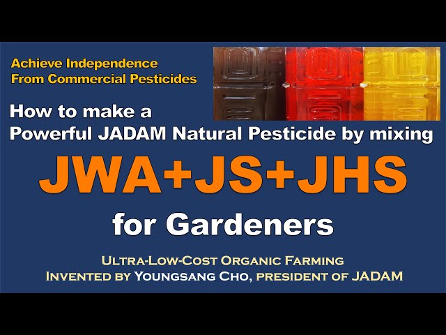 How to Make JADAM Natural Pesticide: The Golden Ratio (JWA + JS + JHS)