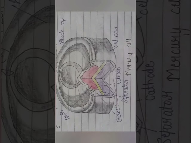 || Important fig. of mercury cell || #exam #chemistry #class 12#ytshorts#likesharesubscribe