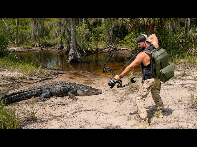 Tracking Down the Largest Alligator in the SWAMP For FOOD!! (Unexpected Giant)