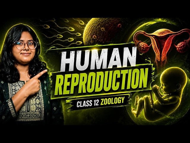 Human Reproduction | Lecture 1 🔥 | Class 12 Zoology | CHSE Odisha | Mausumi Ma'am