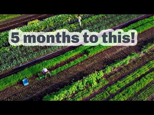 BUILDING A WORKING FARM IN 5 MONTHS!