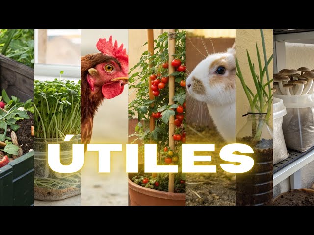 20 EASY and PROFITABLE HOME PROJECTS to Make MONEY with Little Space