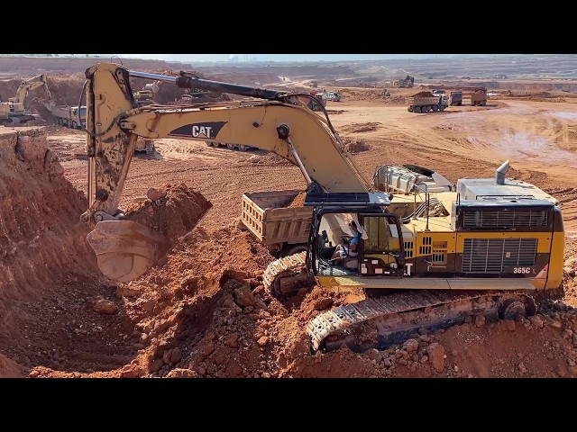 Four Caterpillar Excavators Working Side by Side | 365C & 245B
