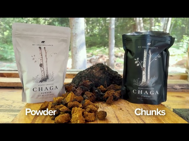 From the Forest to Your Cup: Chaga Restock