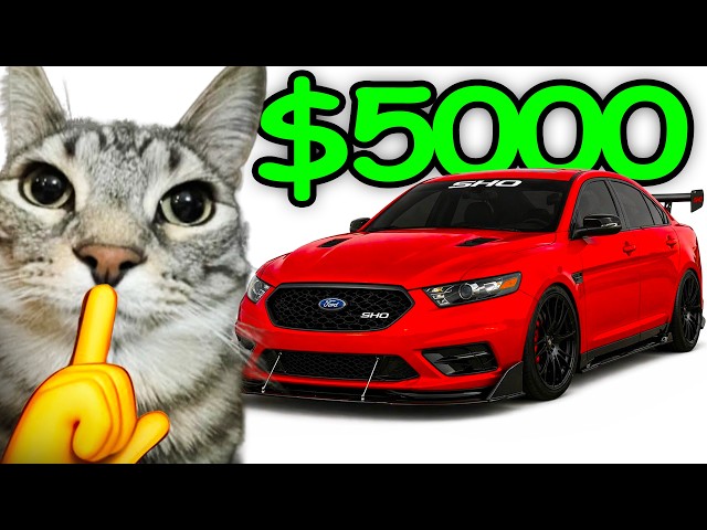 The ACTUAL Best First Cars...