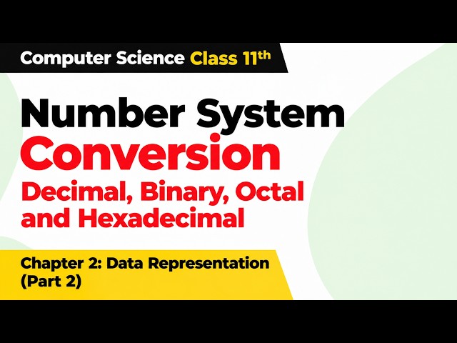 Number System Conversion | Class 11 Computer Science | Data Representation