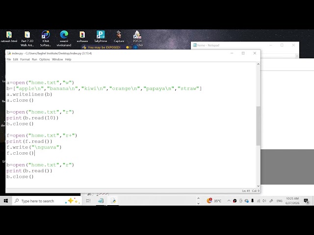 Python (File Handling)