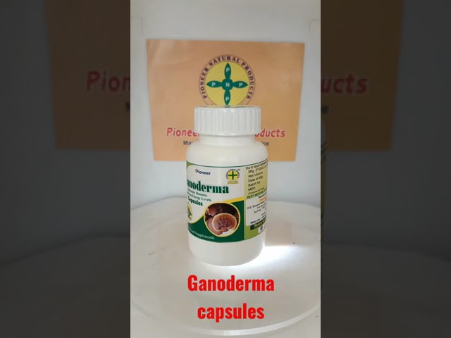 Pioneer Herbal ganoderma Capsule