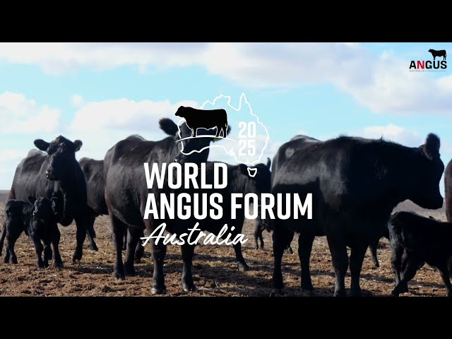 Join us for the 2025 Neogen World Angus Forum!