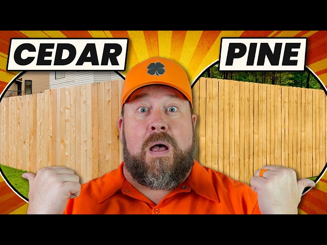 Cedar vs Pressure Treated Pine Fence - Which Is Better?