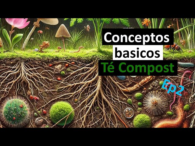 2º Ep, Té de COMPOST, Conceptos Básicos antes de hacer Té de Compost.