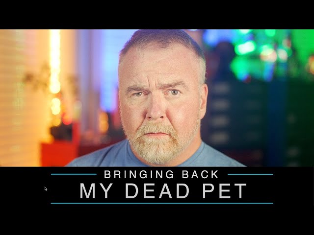 My PET Died - Can we Fix it?
