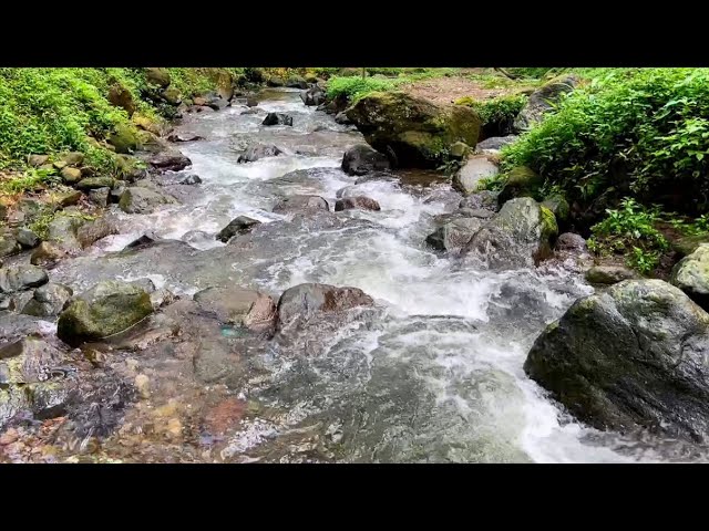 Mountain stream flowing, Forest river stream, Flowing water, white noise for sleeping