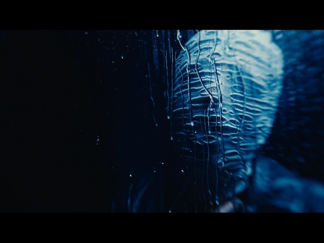 SUNBORN - NEBULA (Official Music Video)