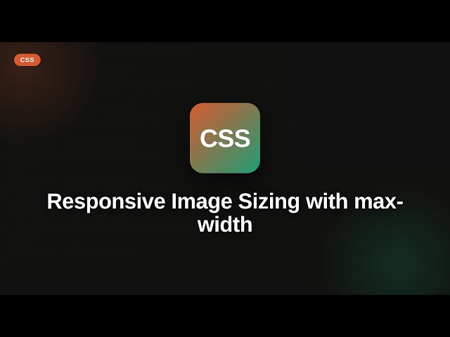 Css - Web development basic Series: Responsive Image Sizing with max-width