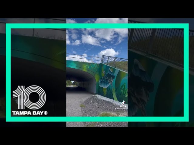 Have you ever taken a walk or bike ride on the Pinellas Trail?