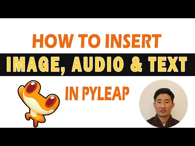 How to insert Image, Audio and Text in pyleap.