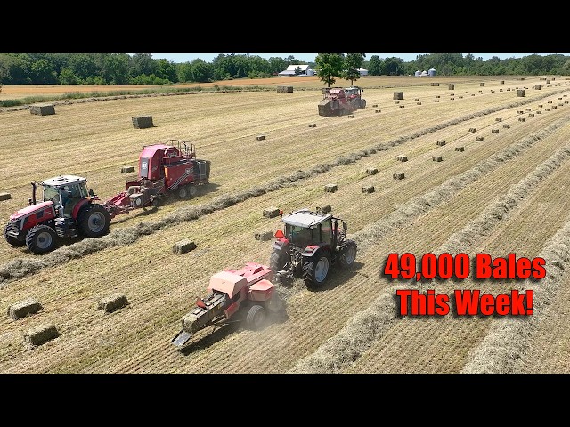 49,000 Bales Into the 2026 Hay Season!