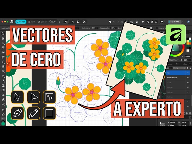 🖋️ How to illustrate with vectors step by step | Affinity Tutorial by Canva (Part 1)