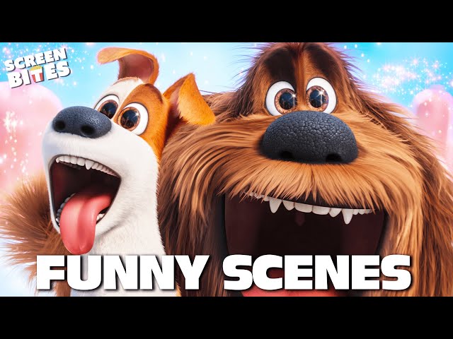 Funniest Moments in The Secret Life Of Pets (2015) & The Secret Life of Pets 2 (2016) | Screen Bites