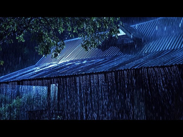 End Sleepless Nights in 3Minutes with Growling Rain & Booming Thunder on a Rickety Tin Roof at Night