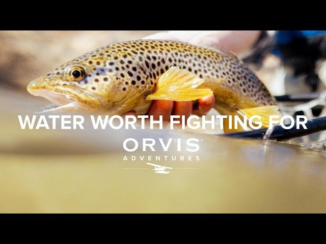 Pesca con mosca en el río Arkansas de Colorado con Orvis Adventures | Una victoria poco común en ...