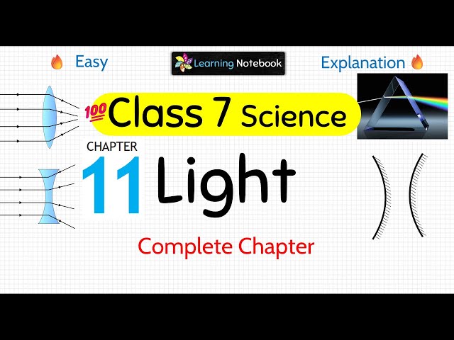 Class 7 Science Light | Class 7 science chapter 11 light