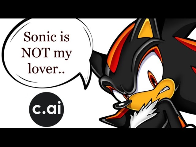 I Spoke to Shadow the Hedgehog