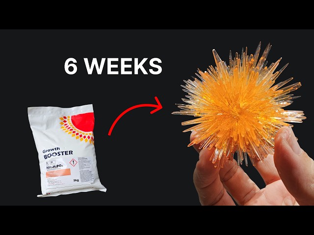 I Turned $5 Fertilizer into a Spiky Crystal Ball