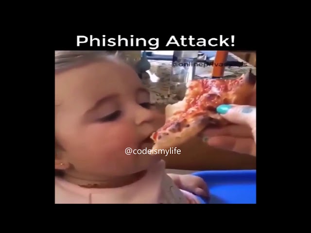 FUNNY PROGRAMMING VIDEOS - CODE IS MY LIFE