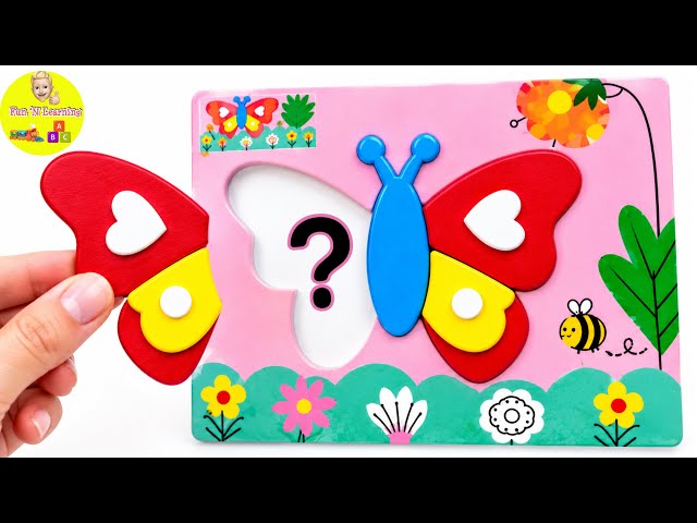 Butterfly Life Cycle for Kids | Egg, Caterpillar, Chrysalis & Butterfly I Preschool Fun Learning