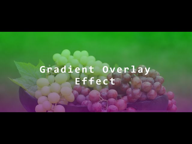 Background Image with Gradient color Overlay|HTML & CSS