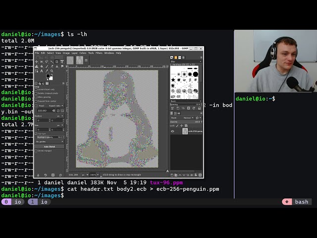 Visualizing Encryption: The ECB Penguin