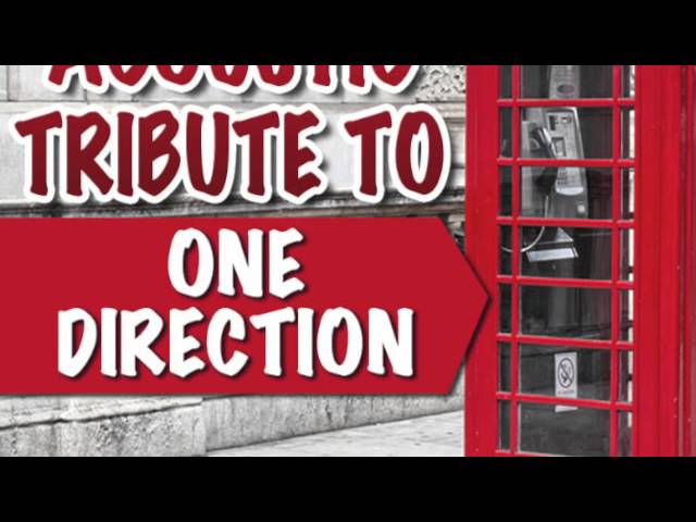 I Want - One Direction Acoustic Tribute