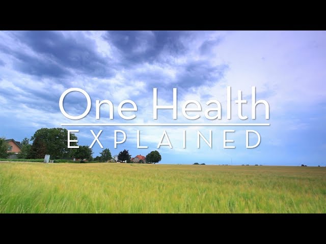 One Health Explained