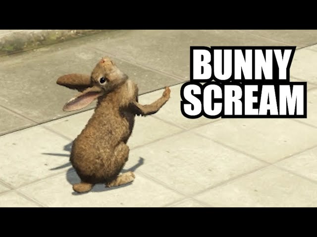 Bunny ATTACK (GTA 5 RP)