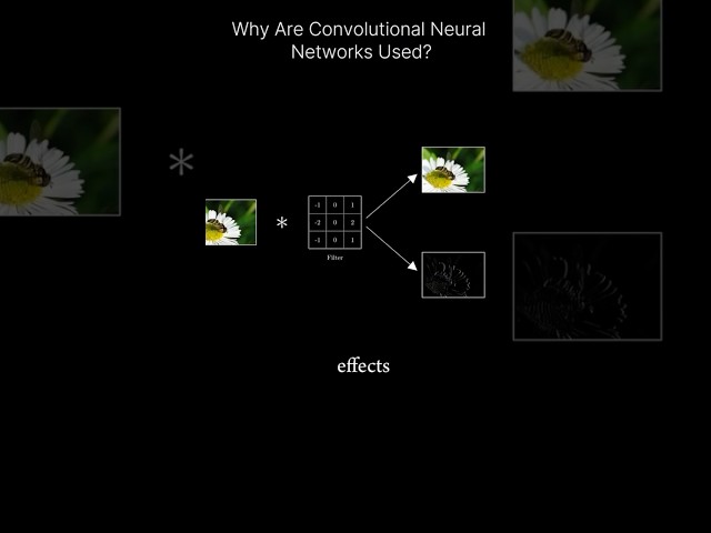 Why are convolutional neural networks used? #cnn #neuralnetworks #convolutionalneuralnetworks